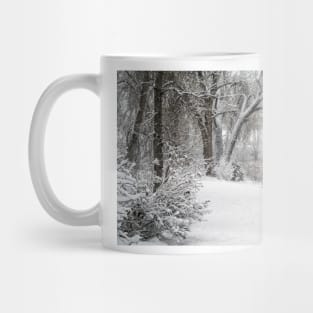 Winter scenery Mug